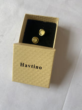 Load image into Gallery viewer, Havtino Earrings Stylish and minimalist hypoallergenic earrings, women's jewelry gifts