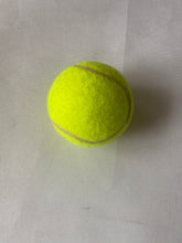 Load image into Gallery viewer, Quxtpns Pet toys Dog training bell, suitable for potty training of puppies and other pets.
