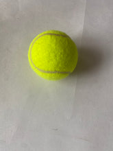 Load image into Gallery viewer, Quxtpns Pet toys Dog training bell, suitable for potty training of puppies and other pets.
