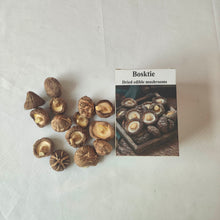 Load image into Gallery viewer, Bosktie Dried edible mushrooms Organic dried shiitake mushrooms
