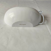 Load image into Gallery viewer, phytopel Fly traps Indoor fruit fly trap, indoor insect killer
